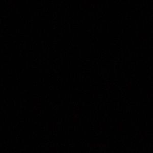 Meet your Posher, Connor